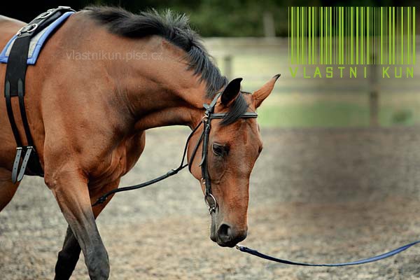 chambon (2)
