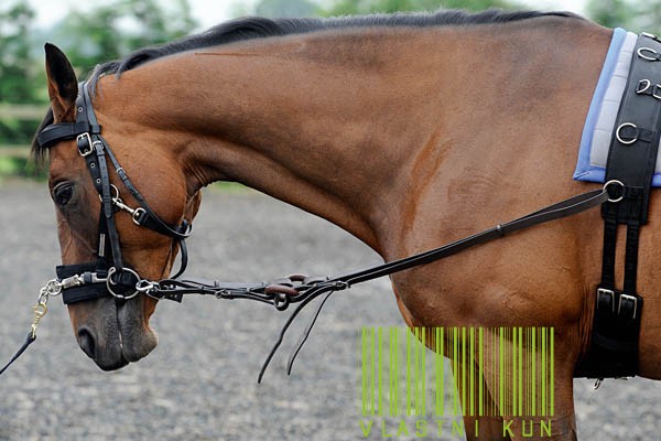 Jumpers Horse Line Side Reins