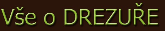 drezura